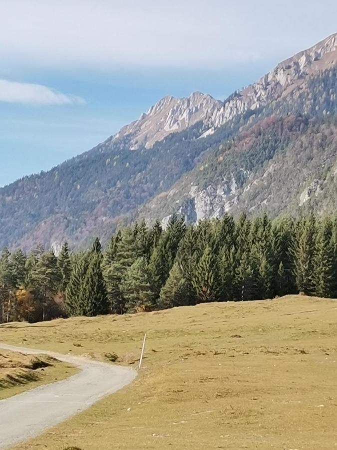 Landhaus Marie هيرماجور المظهر الخارجي الصورة